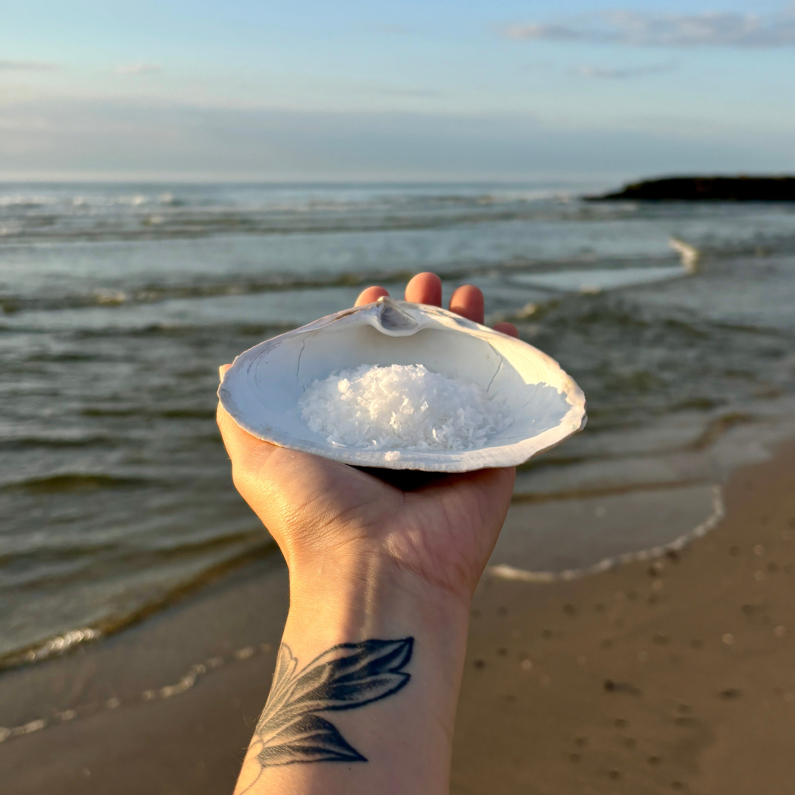 A hand with a floral tattoo holds a white clam shell filled with Asbury Park Flake sea salt over a sandy beach with the ocean and blue sky in the background.
